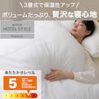 ホテルスタイル掛ふとん セミダブル(Nホテル プレミアム K2516 SD) 2枚目画像
