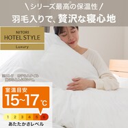 ホテルスタイル掛ふとん(Ｎホテル ラグジュアリー K2517)