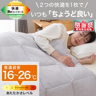 ちょうど良い湿度調整掛ふとん(K2518)