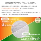 ちょうど良い湿度調整掛ふとん ダブル(K2518 D) 4枚目画像