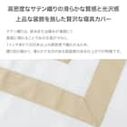 高密度サテン 掛ふとんカバー シングル(Nグリップ PR03BEラインB ホワイト S) 2枚目画像