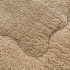 表も裏もそのまま使える 蓄熱わた入り掛けふとん ダブル(K2529 BE D) 13枚目画像