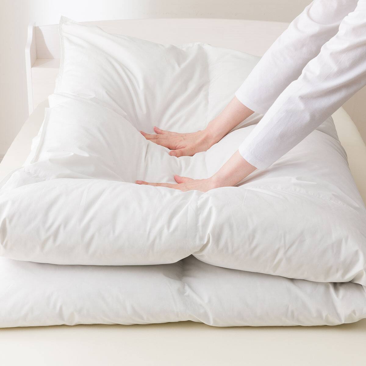 日本製】羽毛掛ふとん シングル(DH-GDD80) | ニトリネット【公式