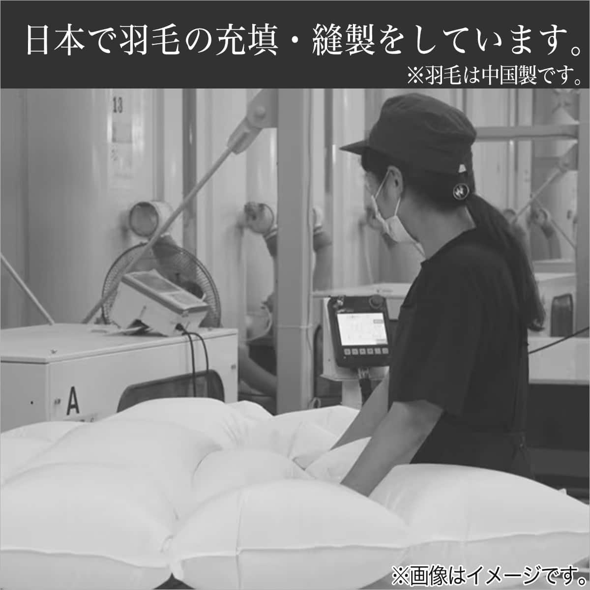 日本製】羽毛掛ふとん セミダブル(DH-GDD80) | ニトリネット【公式