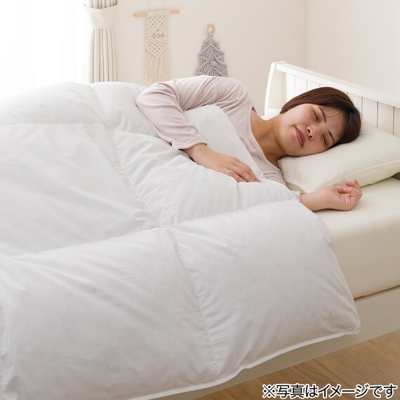 日本製】羽毛掛ふとん クイーン(DH-GDD80)【ネット特別商品】 | ニトリ 