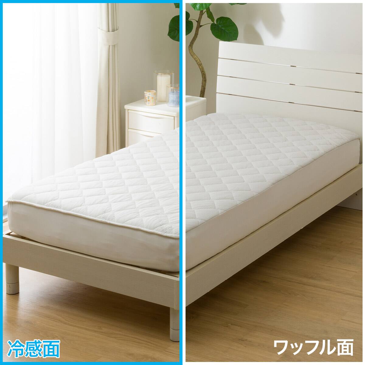 両面使える BOXパッド ダブル(Nクール クロスリーフ S2601)ひんやり