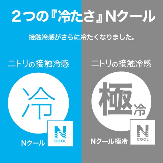両面使える すっぽりピローパッド(Nクール ブルー S2601) 2枚目画像