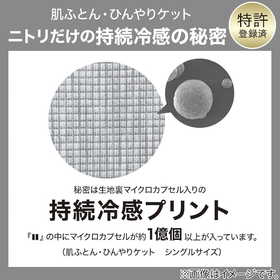 両面使える ひんやりケット シングル(Nクール極冷 グレー S2603) 5枚目画像