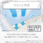 両面使える 敷パッド シングル(Nクール デコネコ S26) 8枚目画像