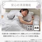 両面使える 敷パッド シングル(Nクール デコネコ S26) 9枚目画像