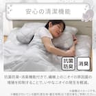 両面使える 敷パッド シングル(Nクール デコネコ S26) 9枚目画像