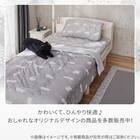 両面使える 敷パッド シングル(Nクール デコネコ S26) 12枚目画像