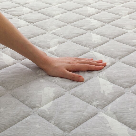 両面使える 敷パッド シングル(Nクール デコネコ S26) 22枚目画像