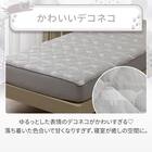 両面使える BOXパッド シングル(Nクール デコネコ S26) 6枚目画像