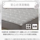 両面使える BOXパッド シングル(Nクール デコネコ S26) 9枚目画像