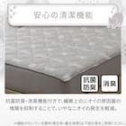 両面使える BOXパッド シングル(Nクール デコネコ S26) 9枚目画像