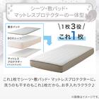 両面使える BOXパッド シングル(Nクール デコネコ S26) 11枚目画像