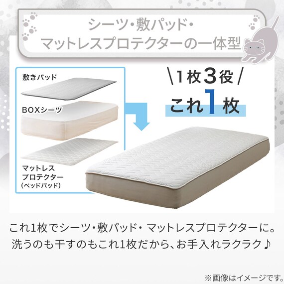 両面使える BOXパッド シングル(Nクール デコネコ S26) 11枚目画像