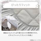 両面使える BOXパッド シングル(Nクール デコネコ S26) 12枚目画像