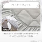 両面使える BOXパッド シングル(Nクール デコネコ S26) 12枚目画像