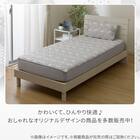 両面使える BOXパッド シングル(Nクール デコネコ S26) 13枚目画像