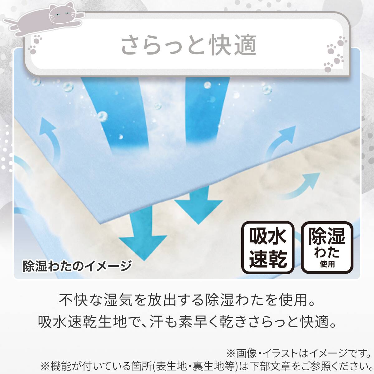 両面使える BOXパッド ダブル(Nクール デコネコ S26) ひんやり 接触冷