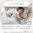 両面使える ピローパッド(Nクール デコネコ S26) 8枚目画像