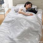 両面使える ピローパッド(Nクール デコネコ S26) 13枚目画像