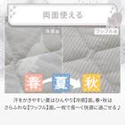 両面使える すっぽりピローパッド(Nクールデコネコ S26) 6枚目画像