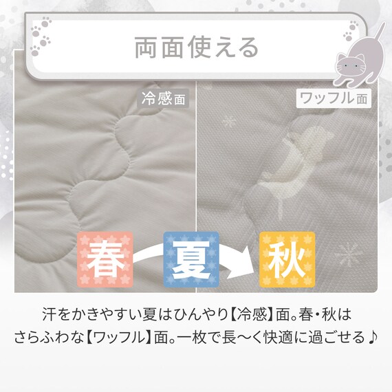両面使える 肌ふとん シングル(Nクール デコネコ S26) 7枚目画像