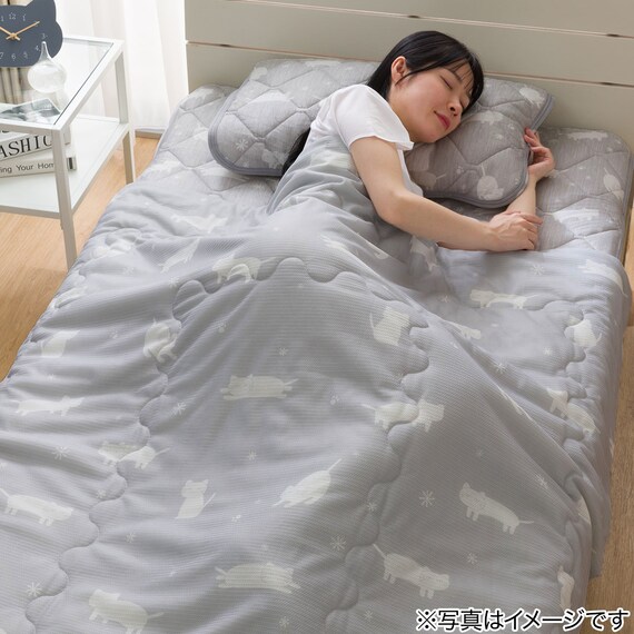 両面使える 肌ふとん シングル(Nクール デコネコ S26) 15枚目画像