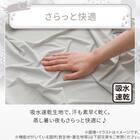 両面使える ひんやりケット シングル(Nクール デコネコ S26) 7枚目画像