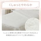 くしゅくしゅ 肌ふとん シングル(Nクール ホワイト S26) 5枚目画像
