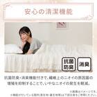 フリル付き 両面使える 肌ふとん シングル(Nクール フリルホワイト S26) 8枚目画像