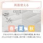 両面使える 敷パッド シングル(Nクール 極冷 ラインアート S26) 9枚目画像