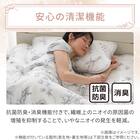 両面使える 敷パッド シングル(Nクール 極冷 ラインアート S26) 11枚目画像