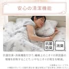 両面使える 敷パッド シングル(Nクール 極冷 ラインアート S26) 11枚目画像