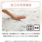 両面使える BOXパッド シングル(Nクール 極冷 ラインアート S26) 11枚目画像