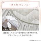 両面使える BOXパッド シングル(Nクール 極冷 ラインアート S26) 15枚目画像