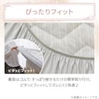 両面使える BOXパッド シングル(Nクール 極冷 ラインアート S26) 15枚目画像