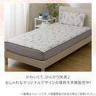 両面使える BOXパッド シングル(Nクール 極冷 ラインアート S26) 16枚目画像