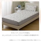 両面使える BOXパッド シングル(Nクール 極冷 ラインアート S26) 16枚目画像