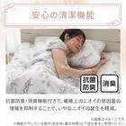 両面使える ピローパッド(Nクール 極冷 ラインアート S26) 9枚目画像