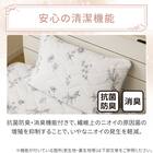 両面使える すっぽりピローパッド(Nクール 極冷 ラインアート S26) 10枚目画像