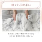 両面使える 肌ふとん シングル(Nクール 極冷 ラインアート S26) 13枚目画像