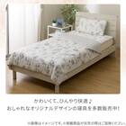 両面使える 肌ふとん シングル(Nクール 極冷 ラインアート S26) 14枚目画像