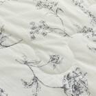 両面使える 肌ふとん シングル(Nクール 極冷 ラインアート S26) 19枚目画像