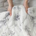 両面使える 肌ふとん シングル(Nクール 極冷 ラインアート S26) 22枚目画像