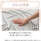 両面使える ひんやりケット シングル(Nクール 極冷 ラインアート S26) 8枚目画像