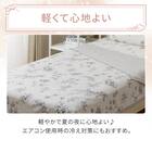 両面使える ひんやりケット シングル(Nクール 極冷 ラインアート S26) 12枚目画像